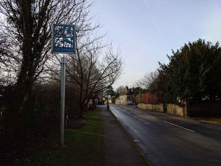 Halstead